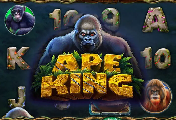 Wertvolle Treueprämien und Boni für loyale Casino-Spieler